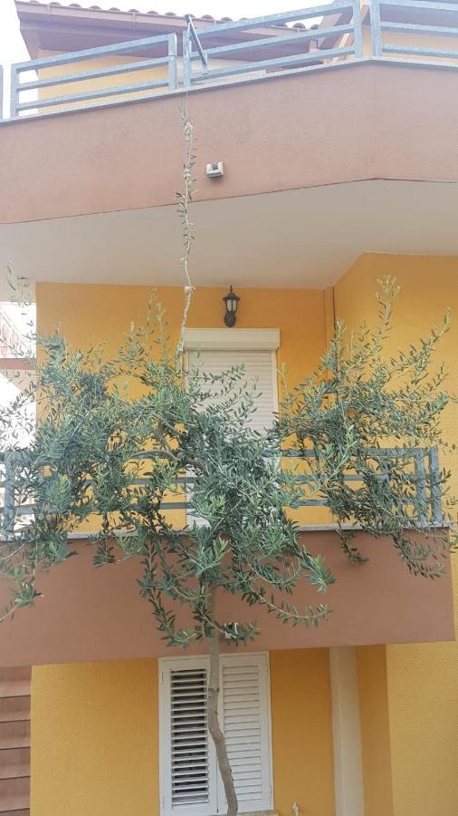 דוגי ראט Apartmani Babic מראה חיצוני תמונה