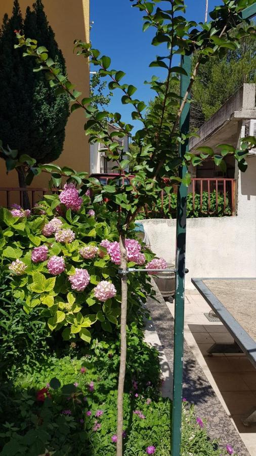 דוגי ראט Apartmani Babic מראה חיצוני תמונה